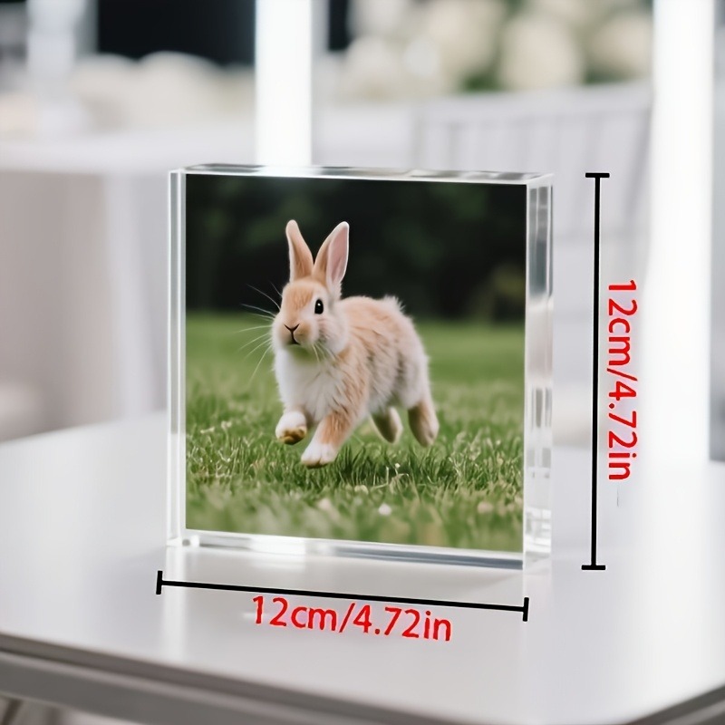 1PC カスタム写真アクリル製パーソナライズギフト 家族、お - Photo Acrylic Block のレビューと価格